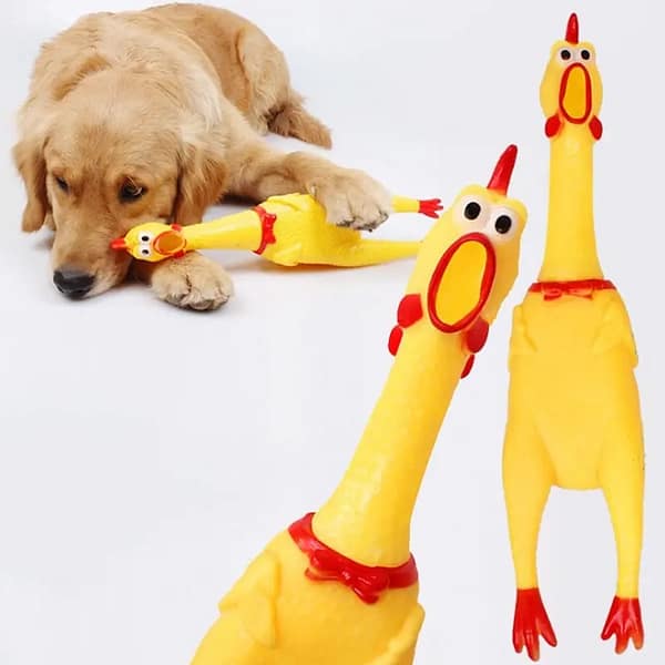 Dog Sounding Toy Small Size Screaming Chicken Pet Dog Toy Screaming Chicken/Releasing Chicken  Feature