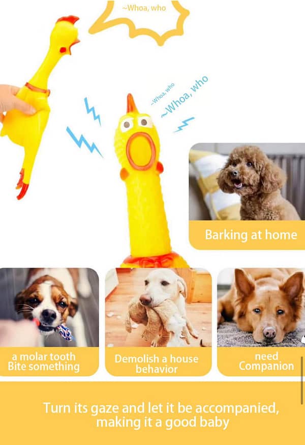 Dog Sounding Toy Small Size Screaming Chicken Pet Dog Toy Screaming Chicken/Releasing Chicken  Feature - Image 2